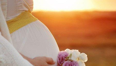 百合花与孕妇