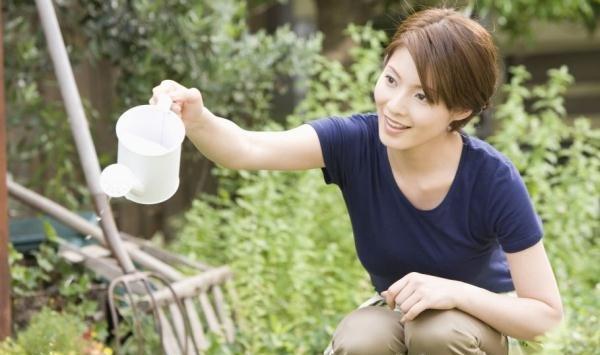 植物什么时候浇水最好