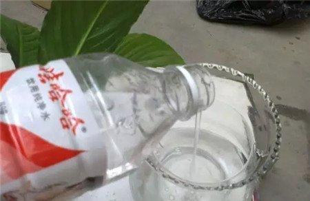 家矿泉水