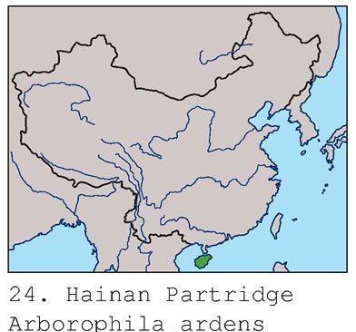 雉科【海南山鹧鸪 Hainan Partridge】生活习性简介 海南山鹧鸪图片